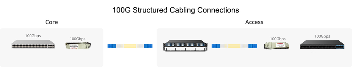 100G Structured Cabling Connections